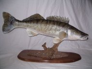 vente de poisson décoration et trophées