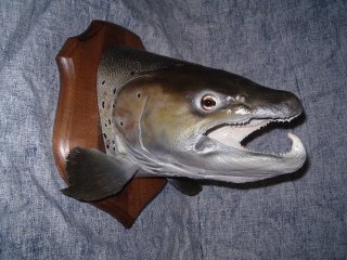trophée de pêche